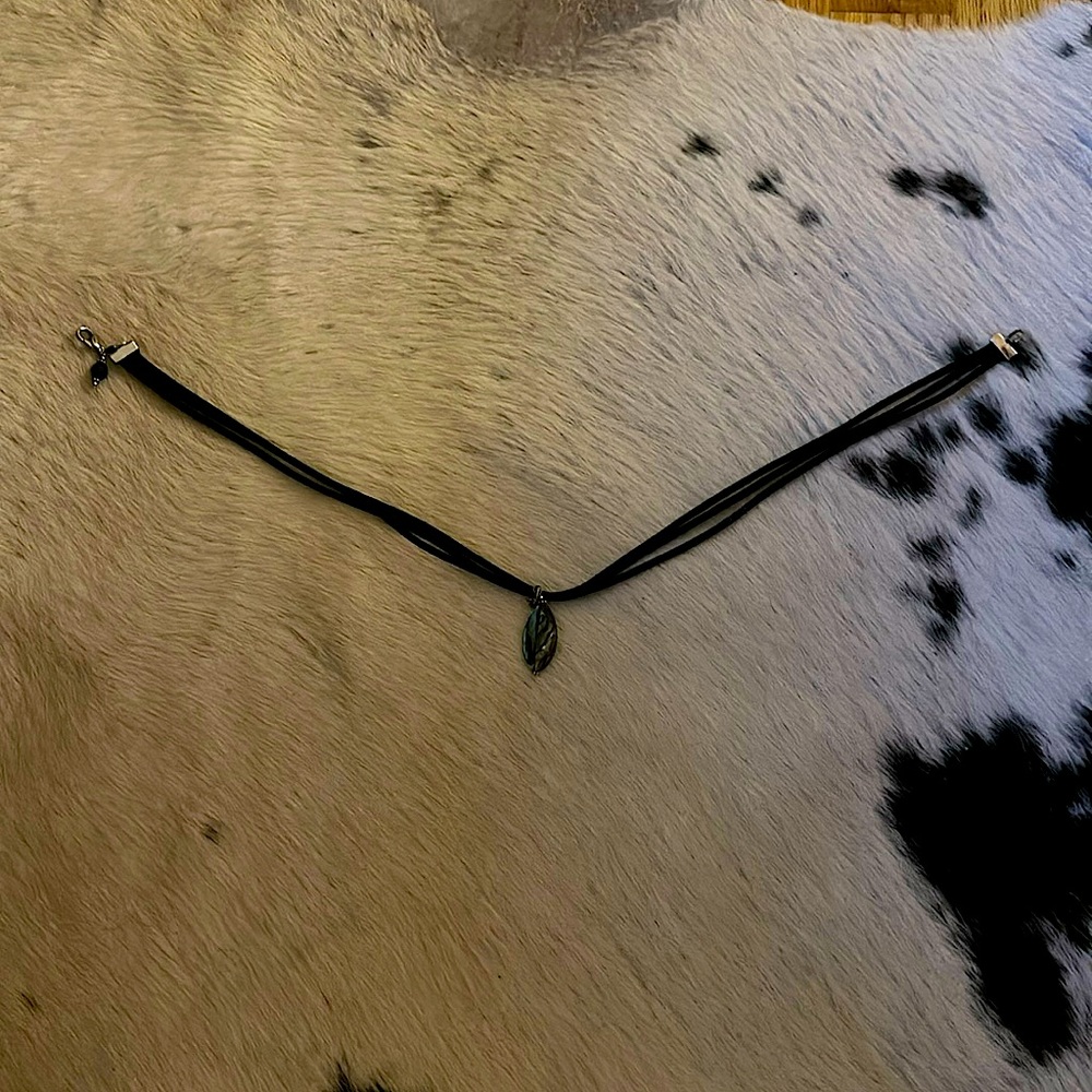 Abalone shell necklace